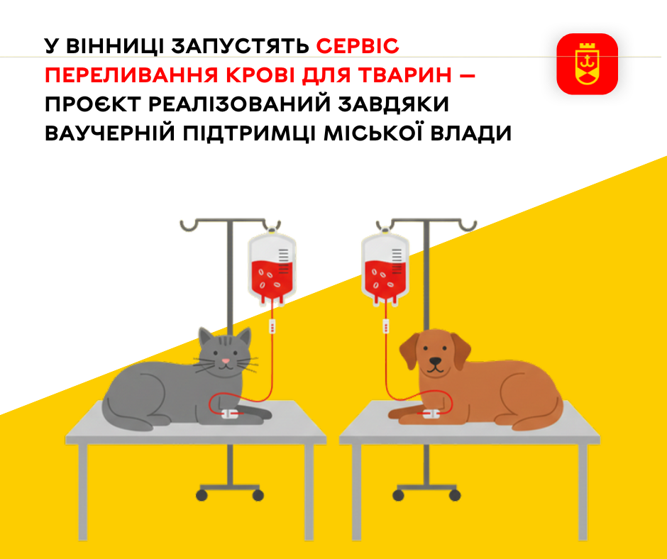 У Вінниці запустять сервіс переливання крові для тварин — проєкт реалізований завдяки ваучерній підтримці міської влади